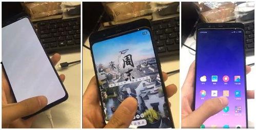 国产手福利机视频,福利视频揭秘惊艳之作