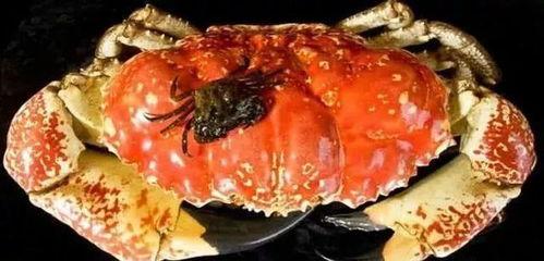 国产顶级海鲜视频