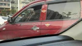 国产神车姐姐视频,揭秘国产汽车新势力崛起背后的故事