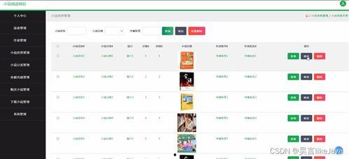 国产小说完整版视频网站,探索完整版视频网站的魅力世界