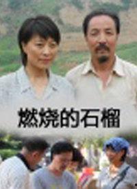 石榴国产视频在线,探寻石榴之美，感受家乡风情