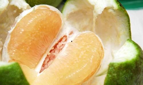 国产柚子清香味好闻吗视频,视频带你领略自然美味